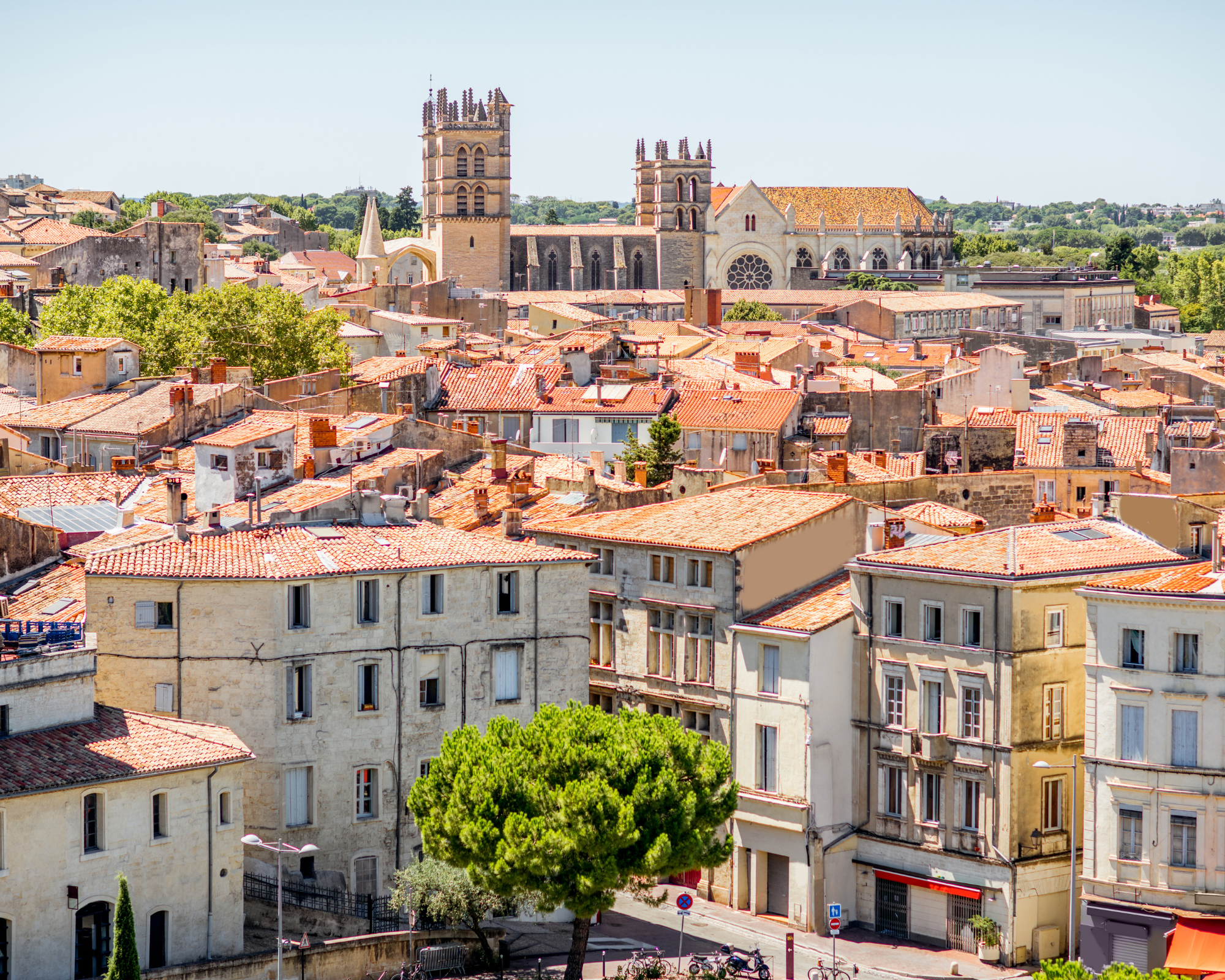 Accompagnement du Slime Montpellier